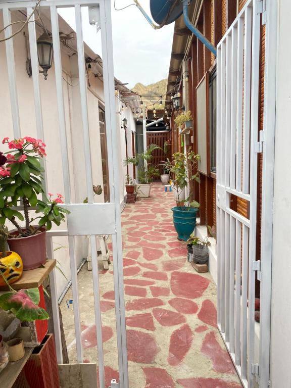 BocapánBOCARENA的一条有植物的房子的走道