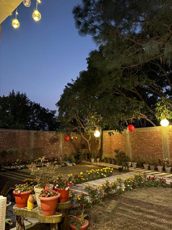 Zahrada ubytování Parijaat Villa