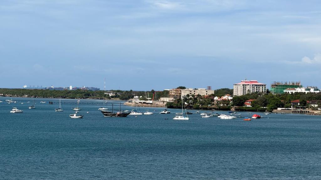 Masaki H and Apartment في دار السلام: مجموعة من القوارب بجزء كبير من الماء