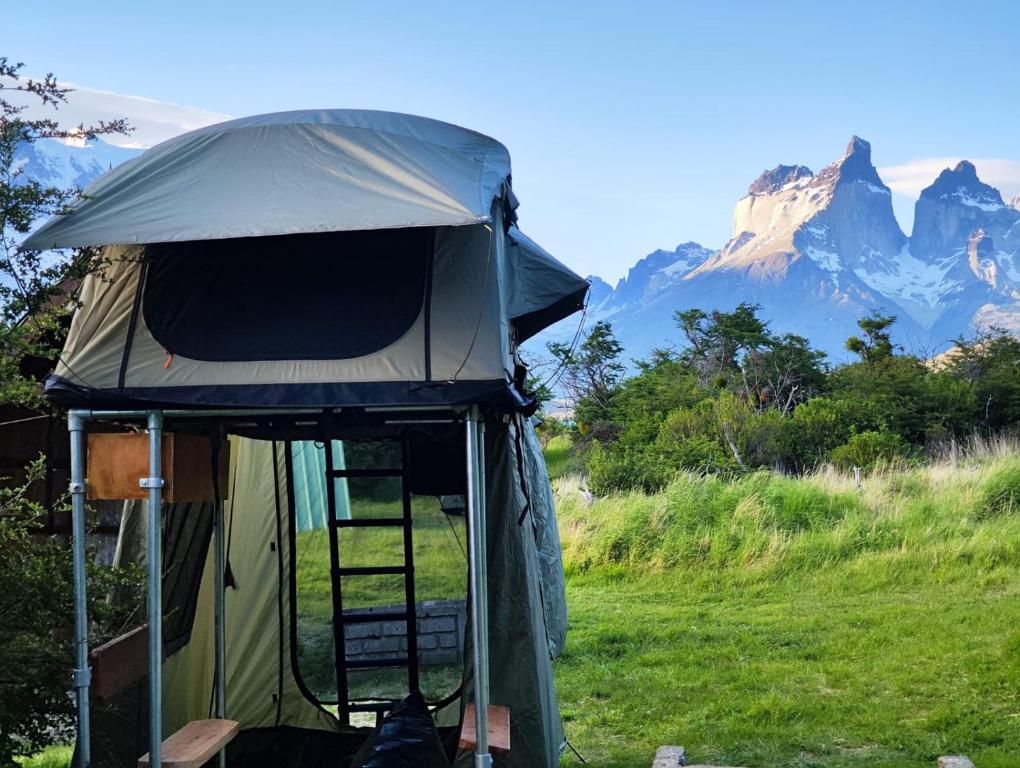 a tent in a field with mountains in the background at Yellow Plum Camp Pehoé in Torres del Paine