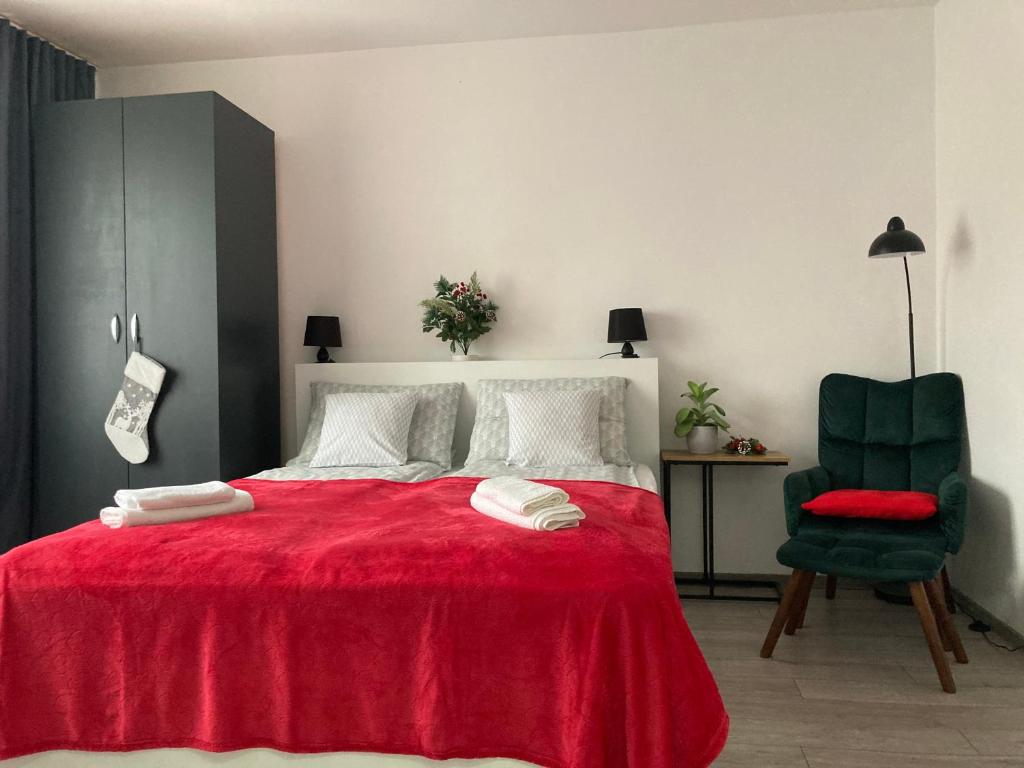 Postel nebo postele na pokoji v ubytování Refugiul Castelului