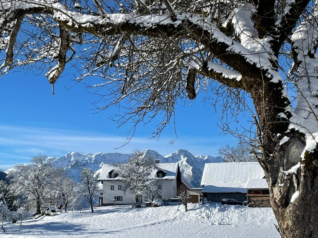 Ferienhof Zamsegg iarna