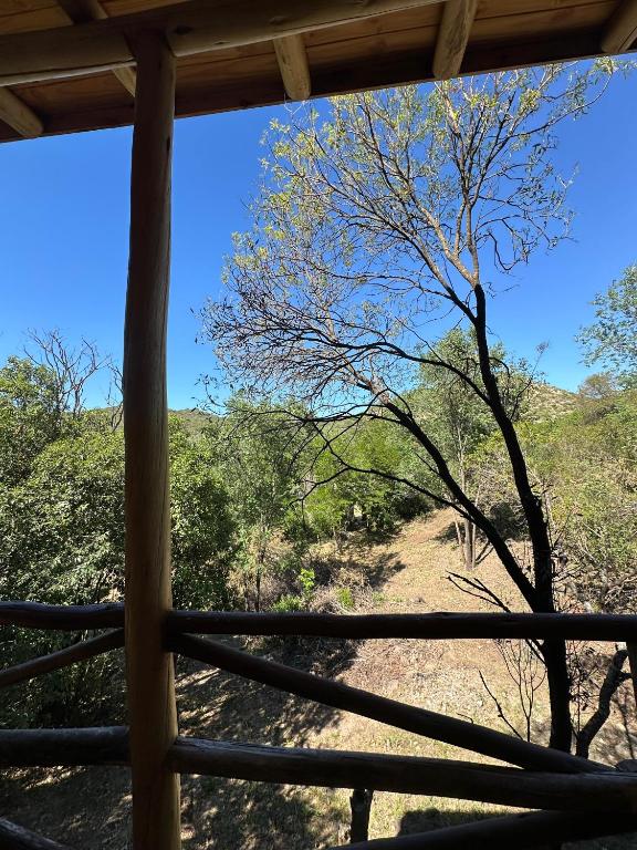 a view of a tree from a porch at La retama in Alta Gracia