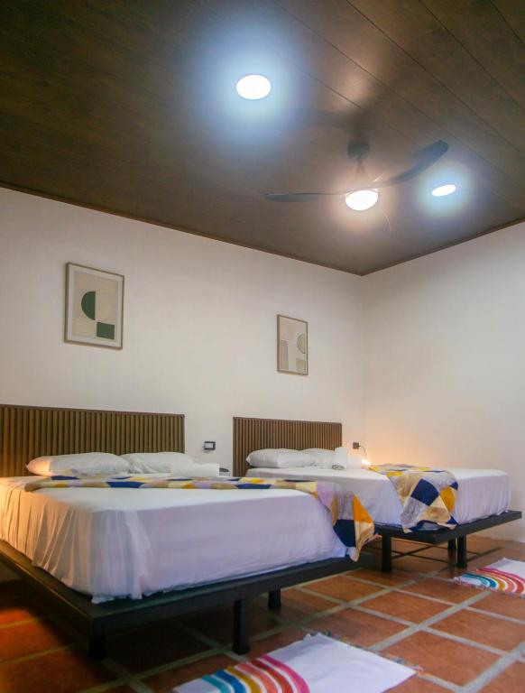 Room at Ceiba Hostel
