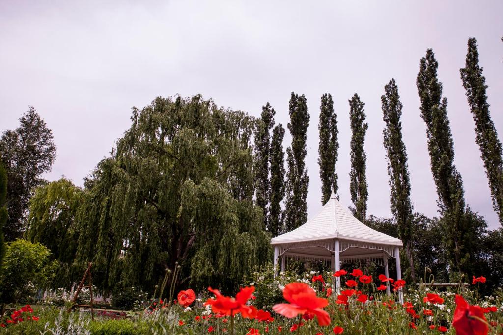 En have udenfor Vygeboom Studio