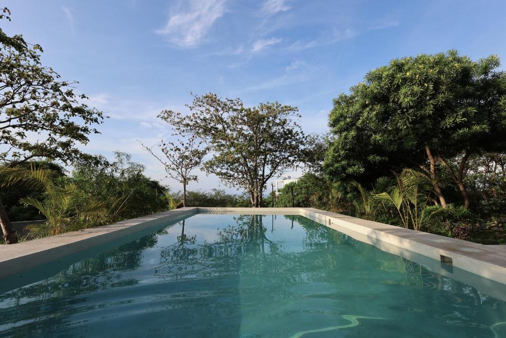 Villa Cuachalalate - Puerto Escondido في El Puertecito: مسبح يوجد اشجار في الخلف