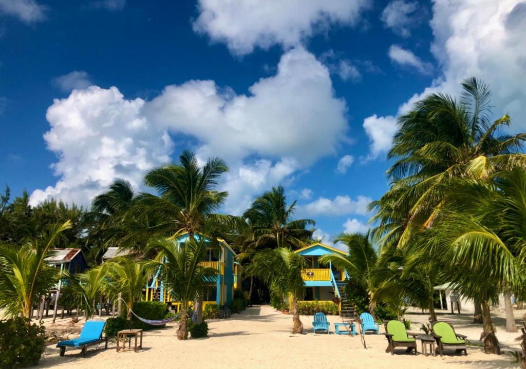 a resort with chairs and palm trees on the beach at Colinda Cabanas in Caye Caulker