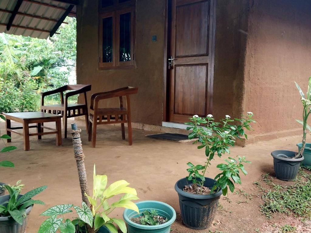 Κήπος έξω από το Amuna Villa