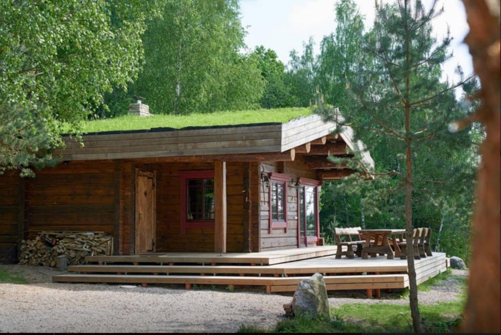 une petite cabane en rondins avec un toit en gazon dans l'établissement Namelis šalia vynuogyno, à Būdziliai