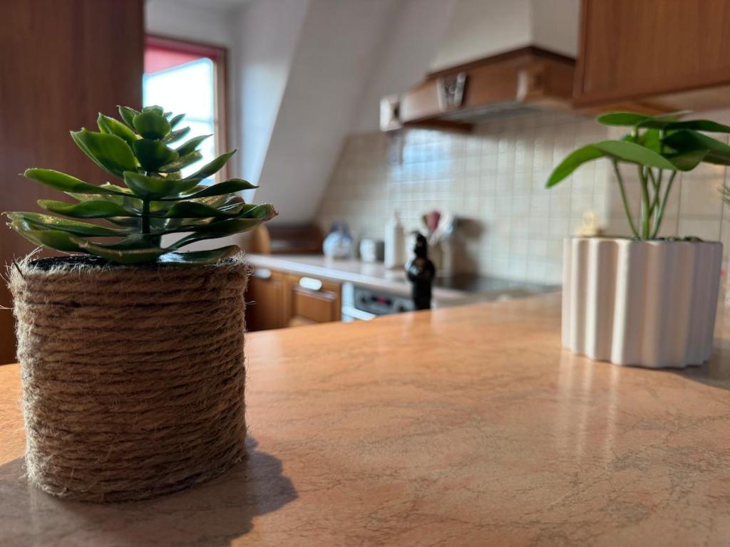 Spacieux appartement calme au coeur de Rouffach – photo 13