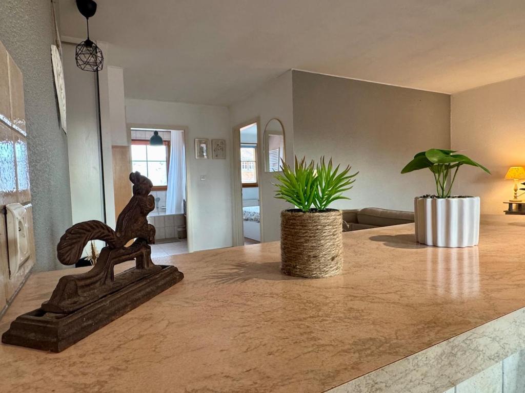 Spacieux appartement calme au coeur de Rouffach – photo 16