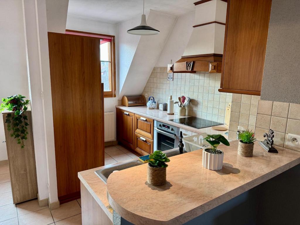 Spacieux appartement calme au coeur de Rouffach – photo 27