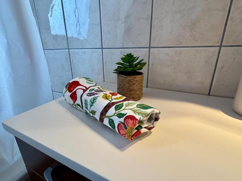 Spacieux appartement calme au coeur de Rouffach – photo 7