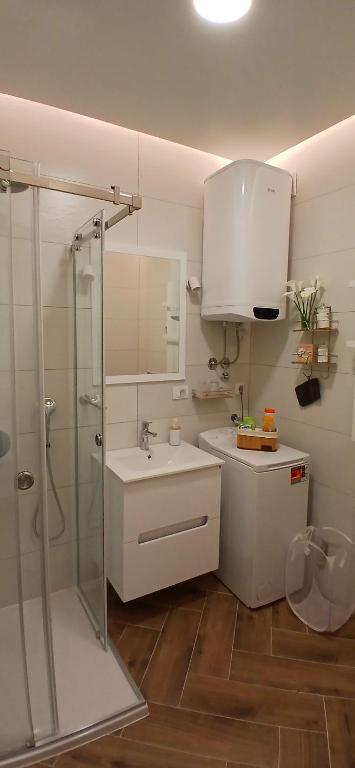 Koupelna v ubytování Apartman Aurelia