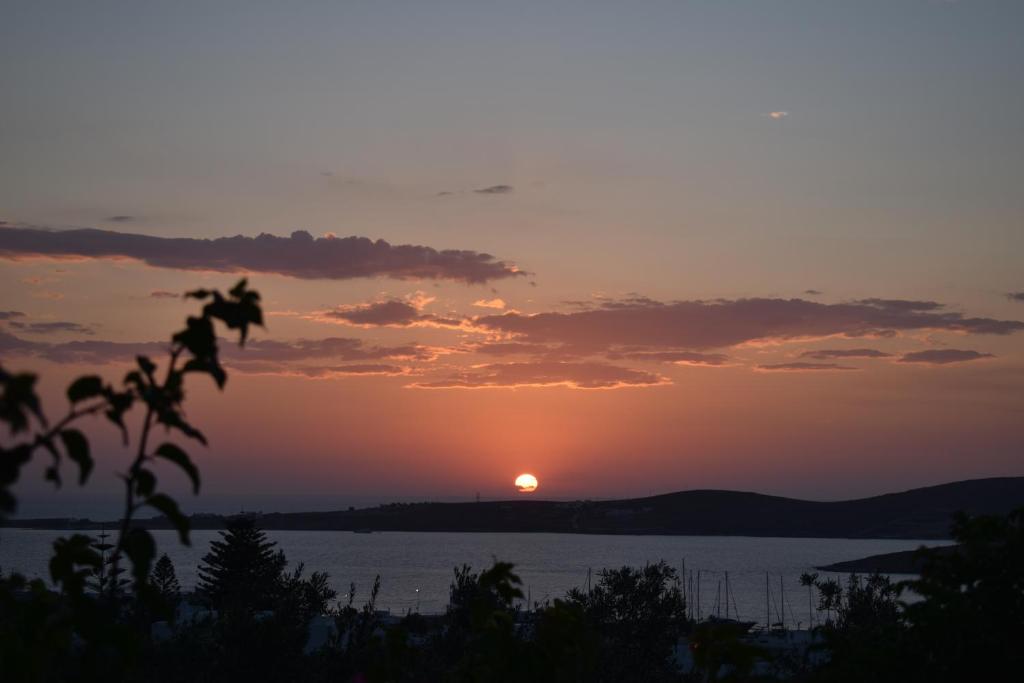 Villa Anna Paros photo 2