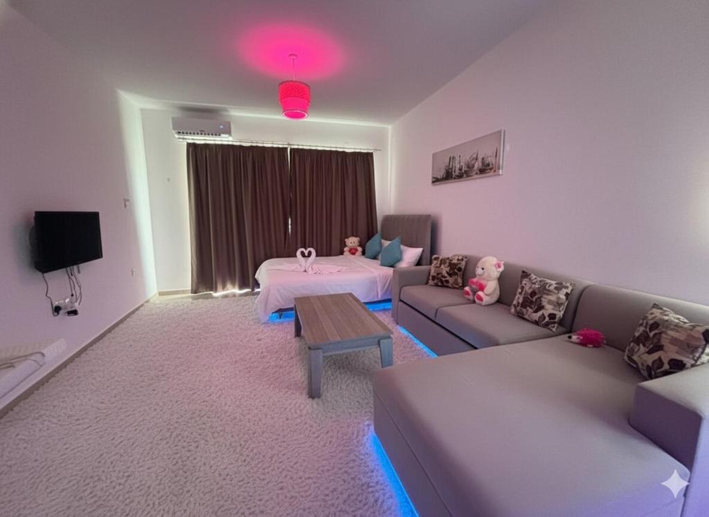 a living room with a couch and a table at Hotel apartment studio in Dherinia