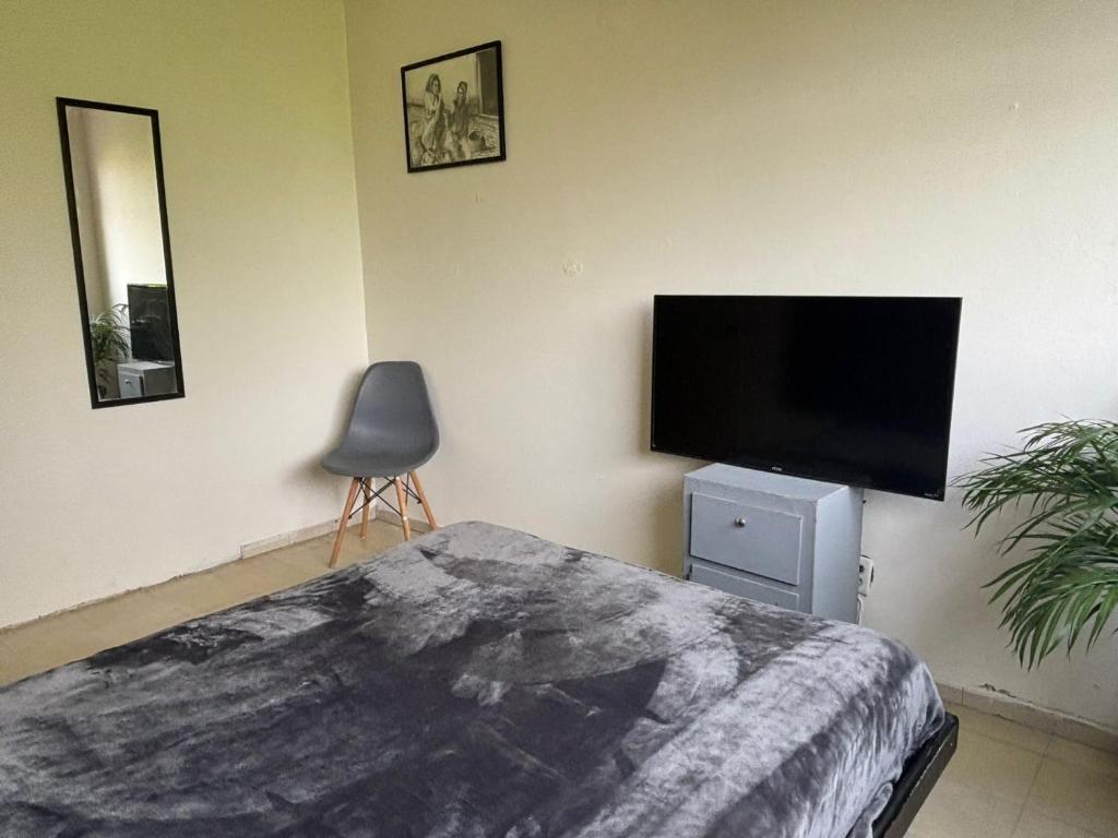 Hostal Casa Herrera في غواذالاخارا: غرفة نوم مع سرير وتلفزيون بشاشة مسطحة