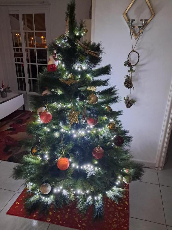 een kerstboom met lichtjes op een rood tapijt bij Penthouse Sabina mit Jacuzzi in Callao Salvaje