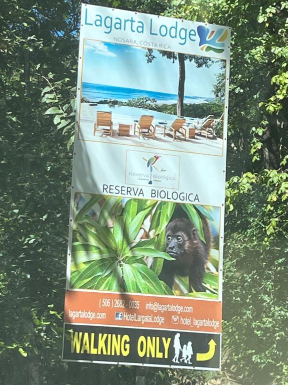 Příroda nedaleko prázdninového domu