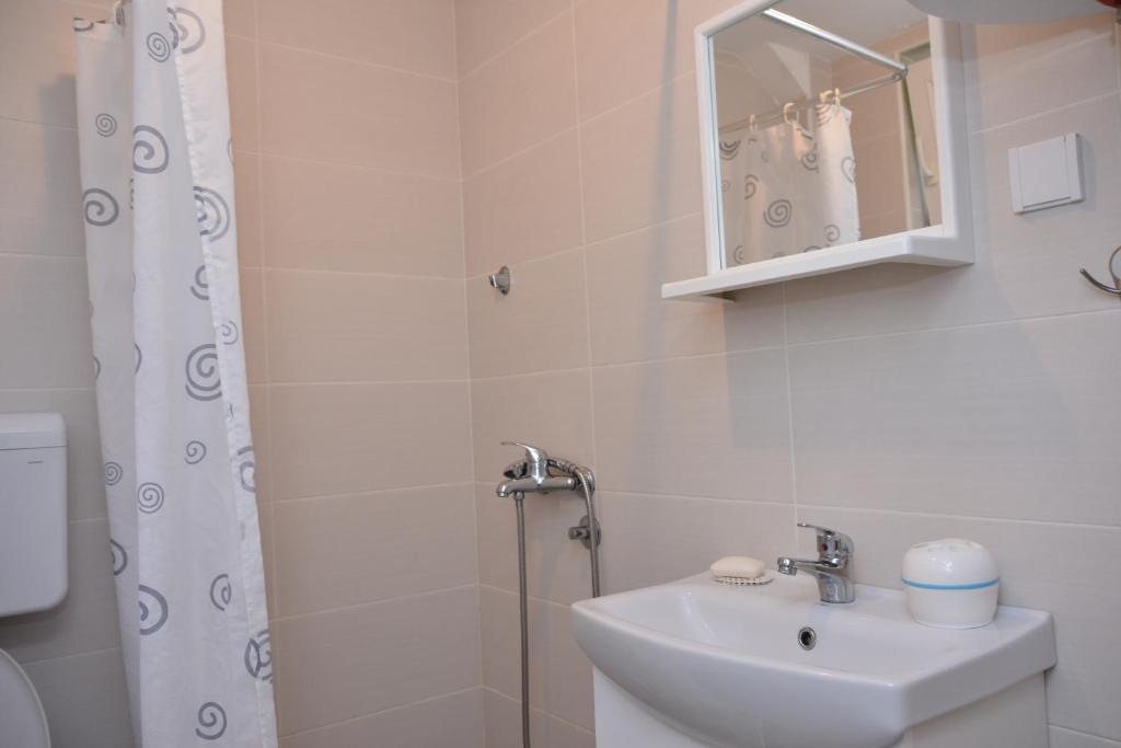 Koupelna v ubytování Dobrila Apartments