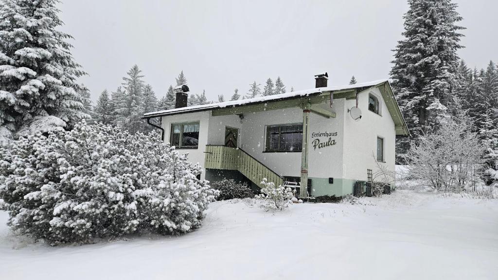 Arber Haus Paula في بايريش أيزنشتاين: منزل مغطى بالثلج بالاشجار والاشجار