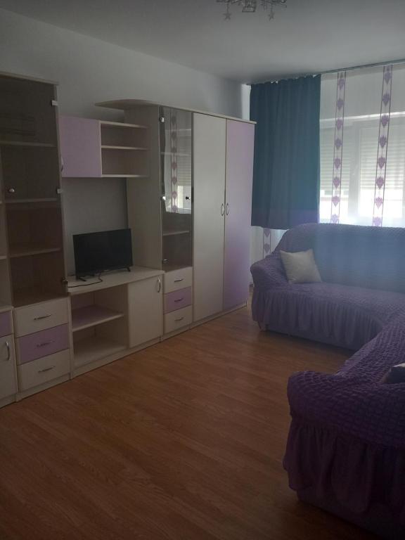 un soggiorno con un divano e una TV di Apartament a Curtea de Argeş