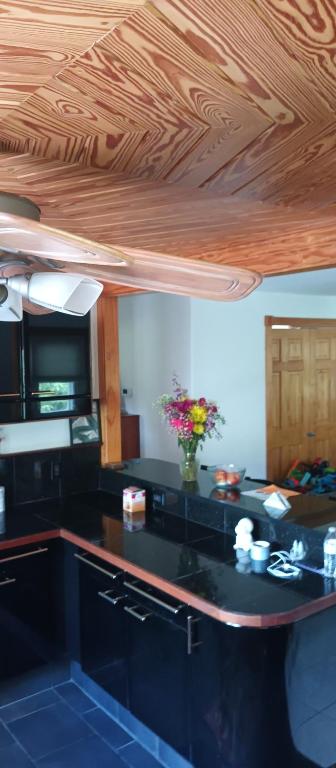 Kuchyň nebo kuchyňský kout v ubytování Tree House