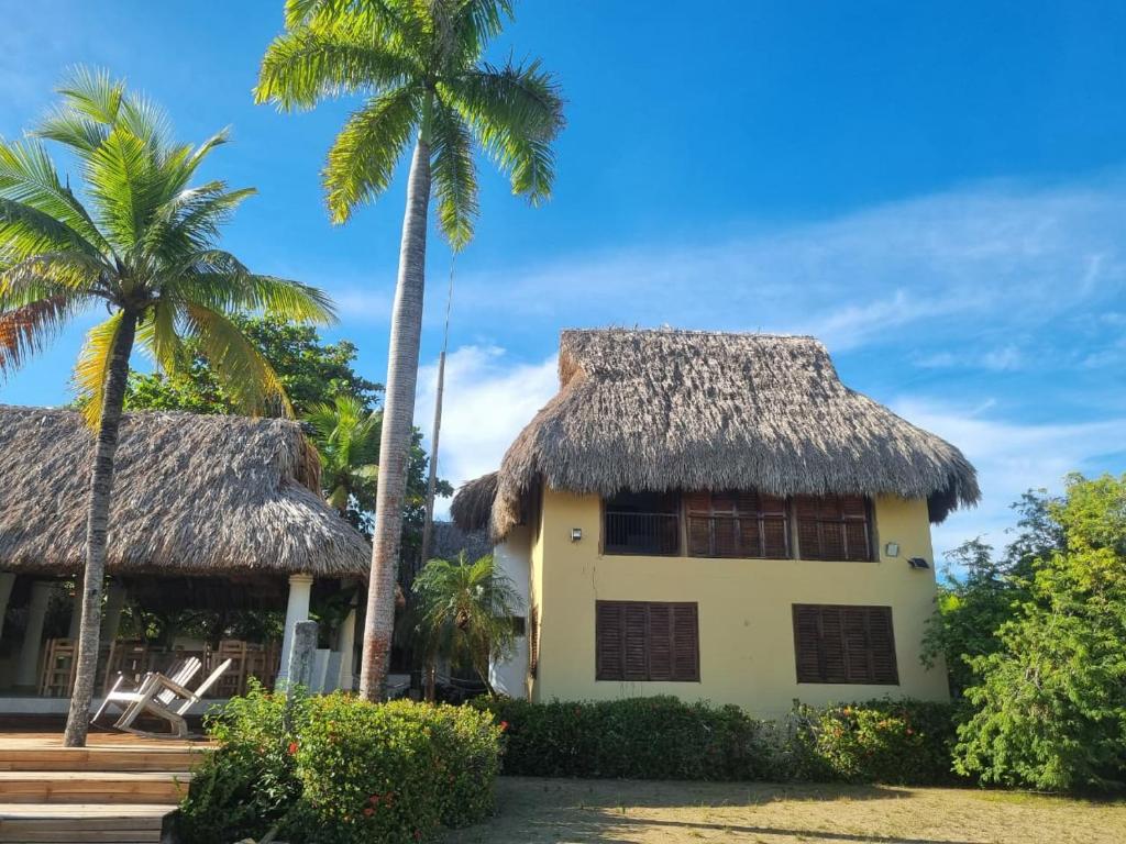 a house with a thatched roof and palm trees at Hostal nido tortuga in San Antero