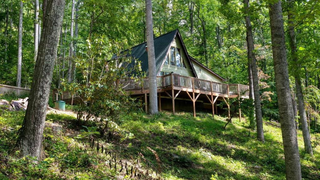 Naturlandskabet i nærheden af feriehuset