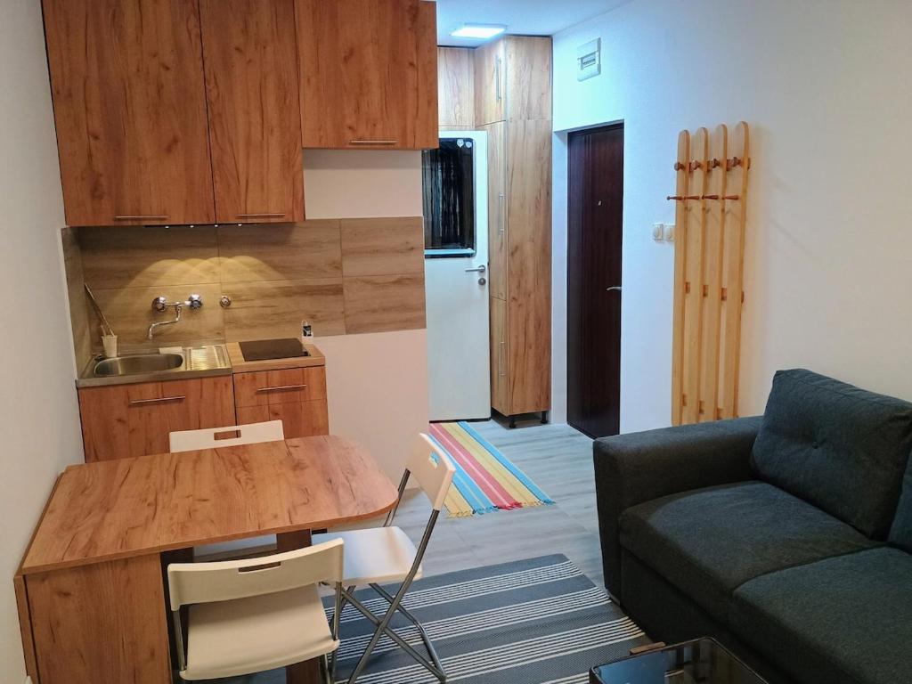 Kuchyň nebo kuchyňský kout v ubytování Ana Apartment River Sava