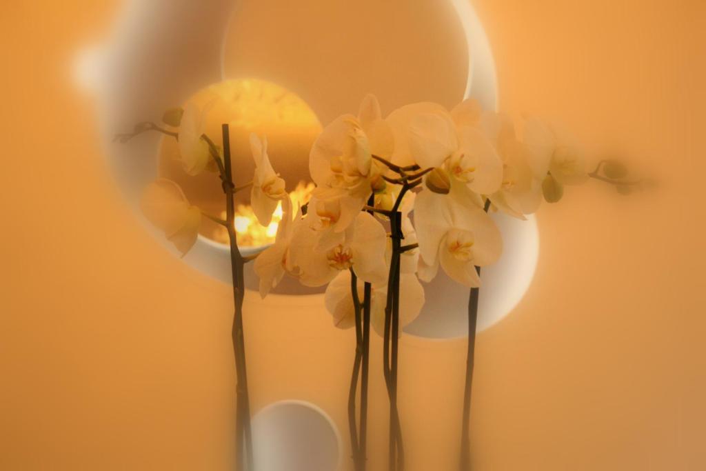 Hôtel Lumières Montmartre Paris - Resim 33