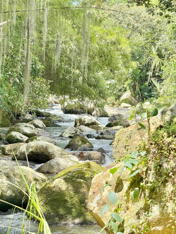 a stream of water with rocks in a forest at Cabaña frente al Río-Curití-San Gil in Curití