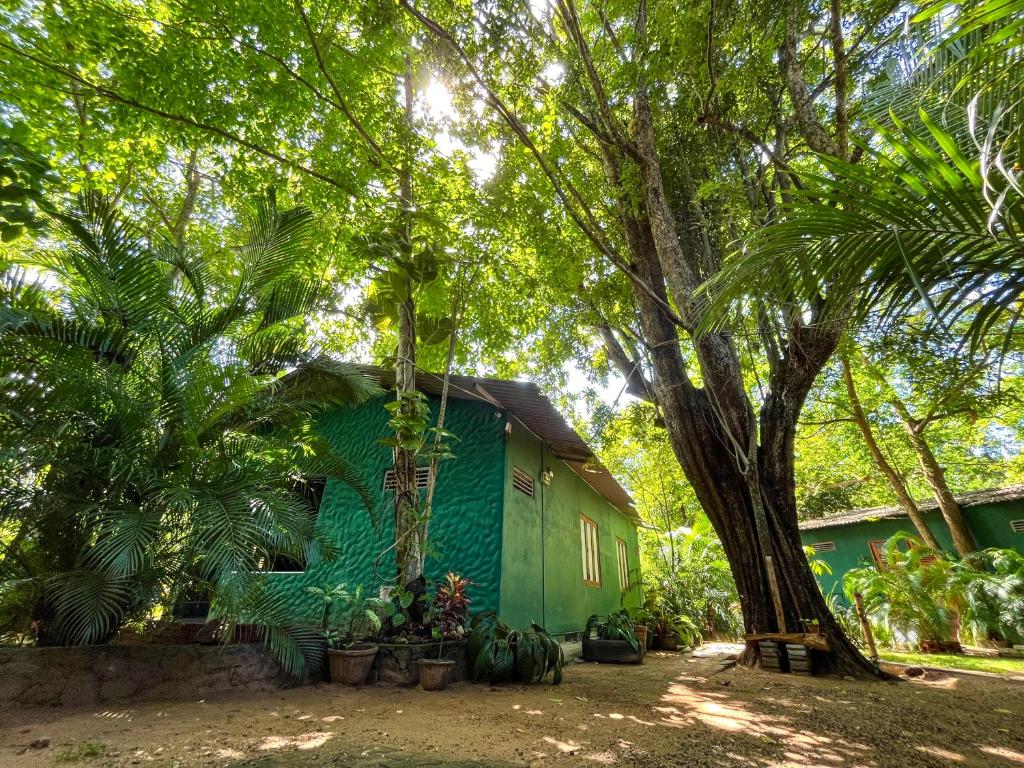 a green building with plants and a tree at Silent Bungalow in Udawalawe