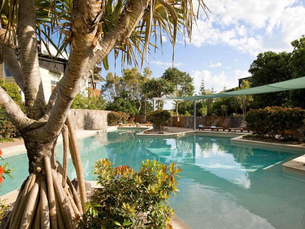 a swimming pool with a palm tree next to a building at The Sebel Twin Waters in Twin Waters