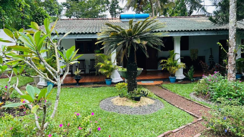 Zahrada ubytování New Greenish Villa