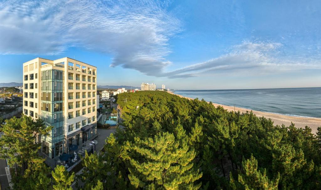um edifício alto ao lado de uma praia e do oceano em Hotel Hound Gangneung Gyeongpo em Gangneung
