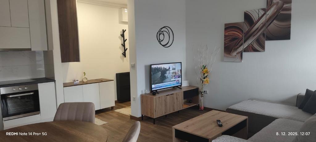 クラグイェヴァツにあるSunshine III Apartmentのソファとテレビのあるリビングルーム