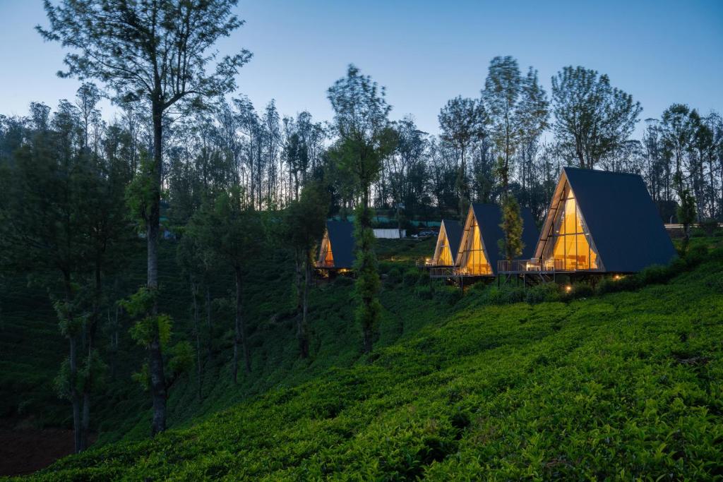 a group of tents on a hill in a field at Triangle Valley in Ooty