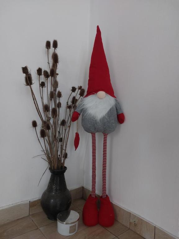 Imagine din galeria proprietății Soul în Bela Crkva