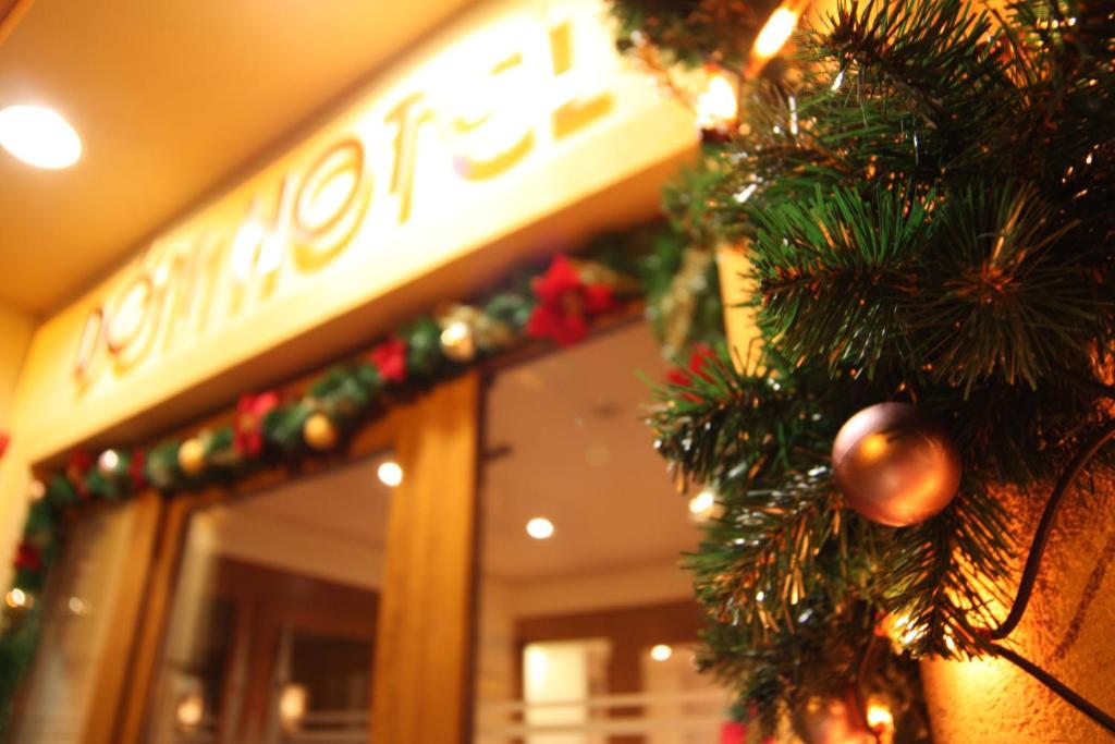 セゲドにあるDóm Hotelの店前のクリスマスツリー
