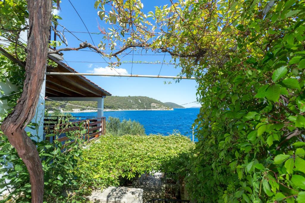 Φυσικό τοπίο κοντά σε αυτό το διαμέρισμα