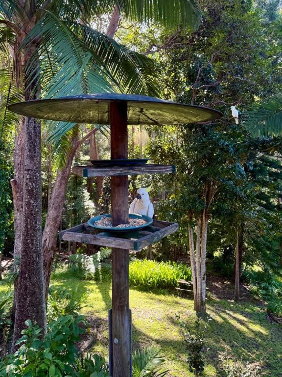 a bird feeder with a surfboard on top of it at The Nature Nook in Upper Mudgeeraba