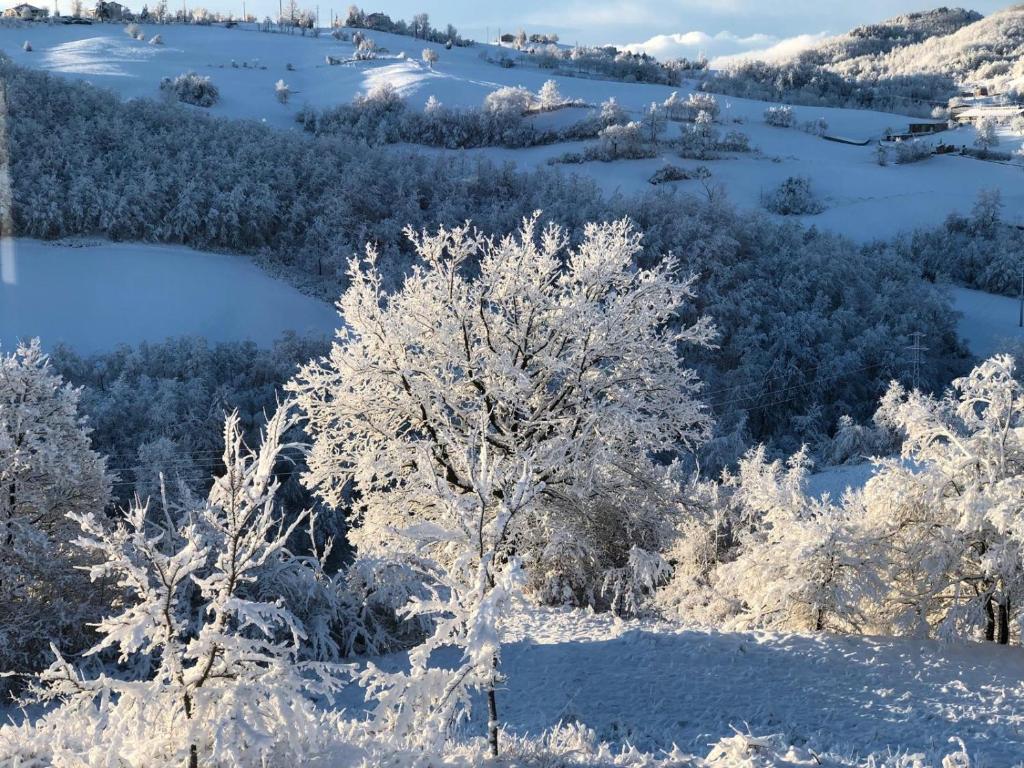 Riserva Del Frignano Appartaments v zimě