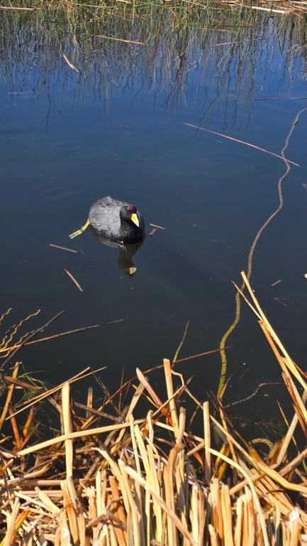 Naturlandskabet i nærheden af campingpladsen