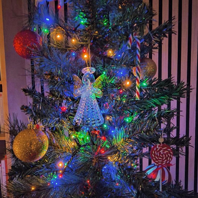 La Girouardière - 18