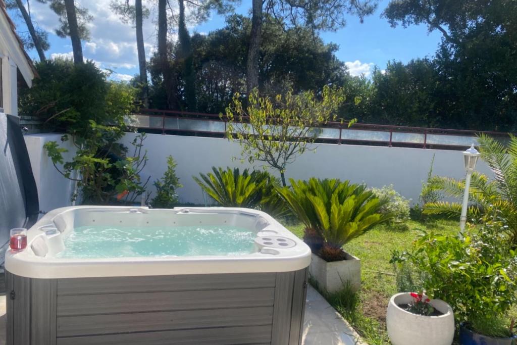 Spacious house in Tarnos near the beach في تارنوس: حوض استحمام ساخن في حديقة بها نباتات