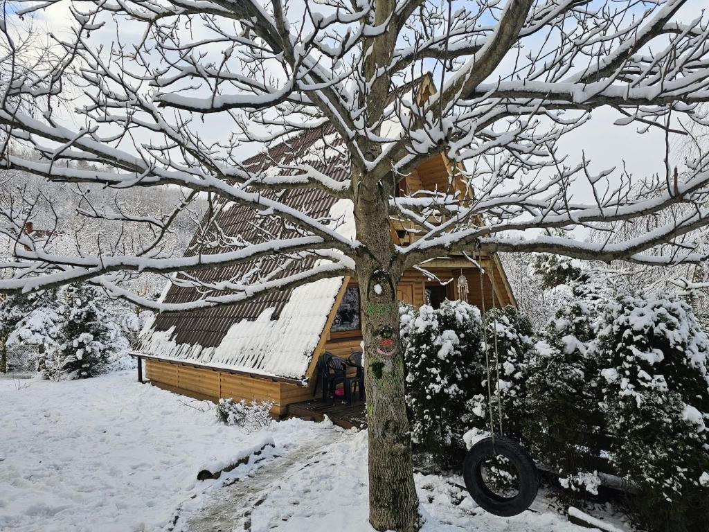 LESNA CHATA - jestesmy 15km od Energylandii, domek wolnostojacy, Beskid Maly v zimě