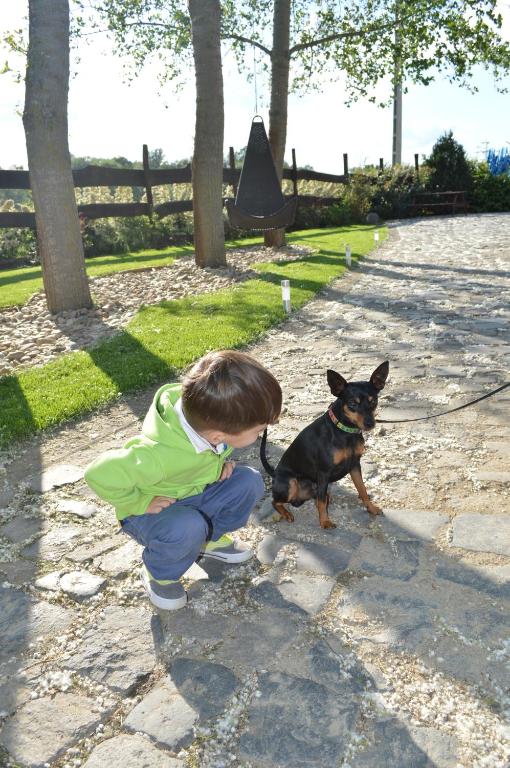 Animal sau animale de companie care stau la Autóscsárda és Panzió