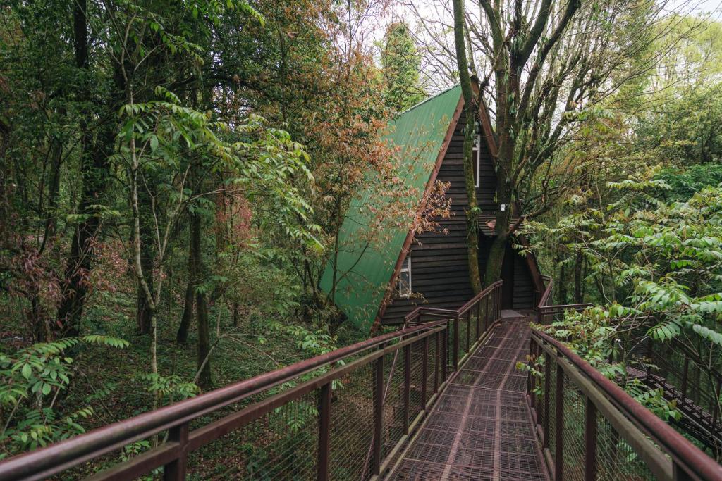 a stairway leading up to a building in a forest at Lenzila Retreat in Ravangla