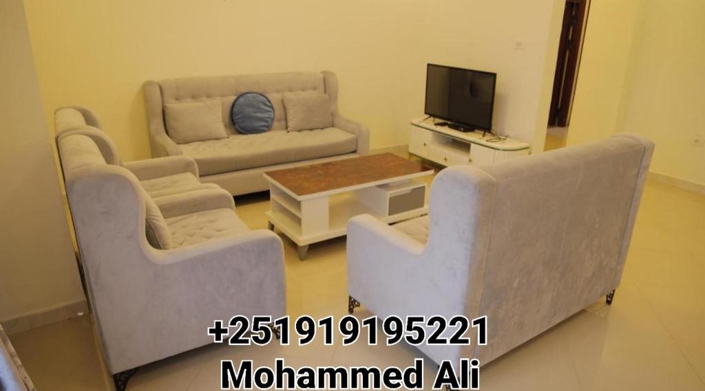 My dream apartment في أديس أبابا: غرفة معيشة مع أريكتين وتلفزيون